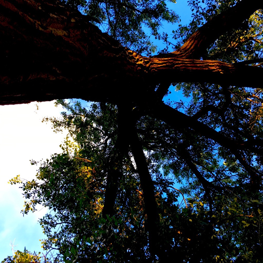 Meet your Posher, Noemi